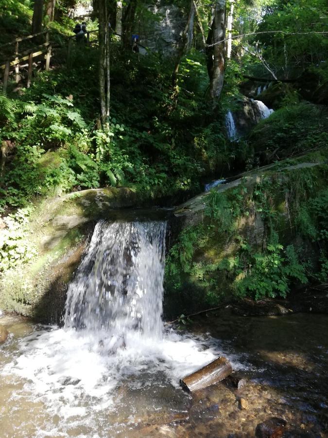 Ferienwohnung Duernberger Liebenfels Bagian luar foto