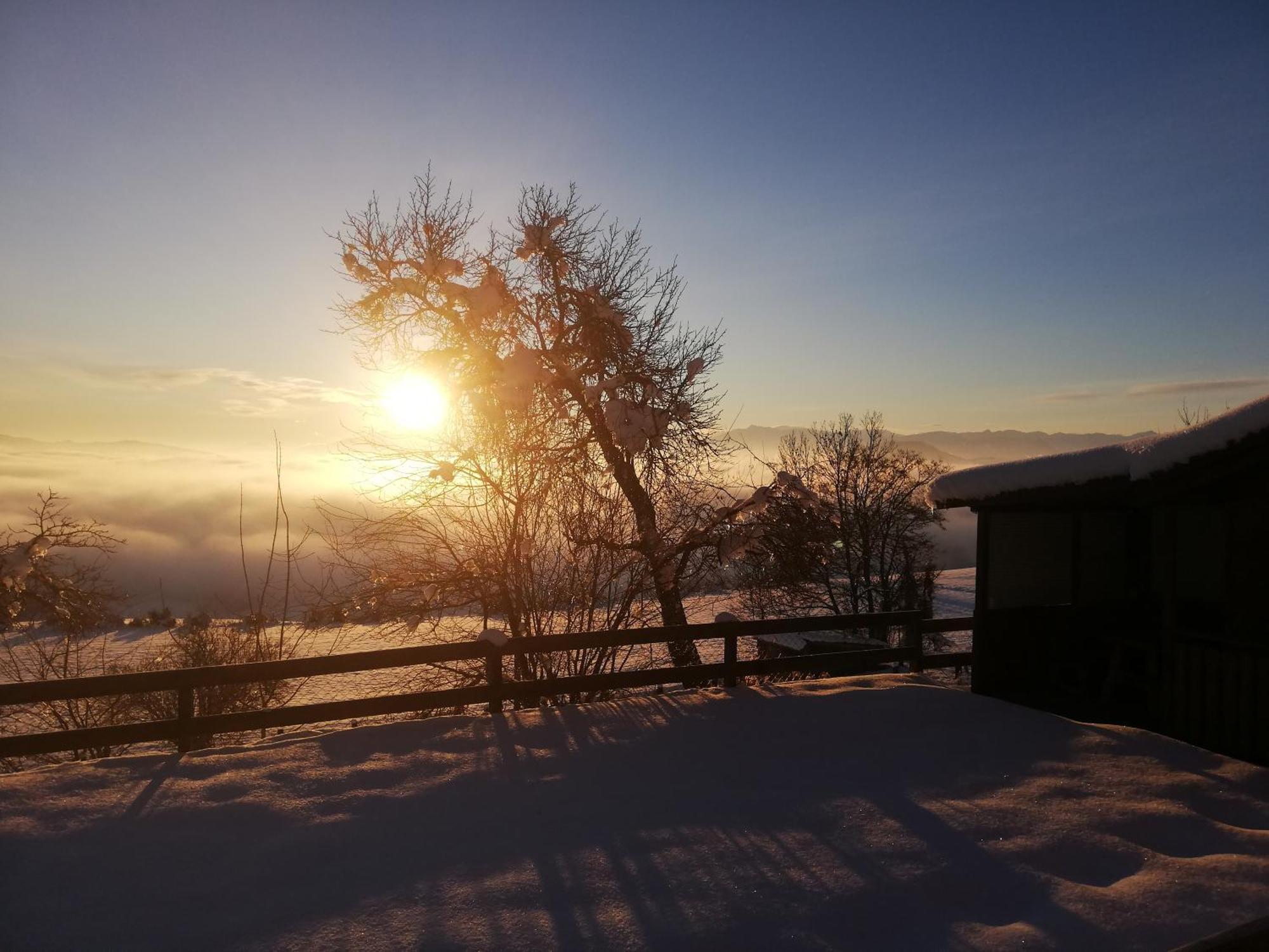 Ferienwohnung Duernberger Liebenfels Bagian luar foto